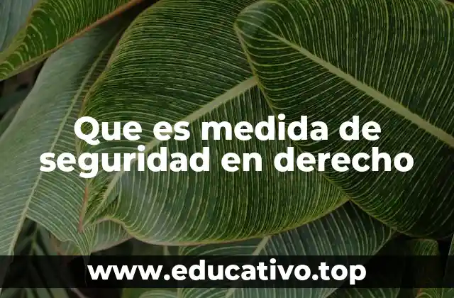 Que es medida de seguridad en derecho