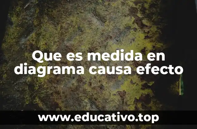 Que es medida en diagrama causa efecto