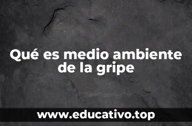 Qué es medio ambiente de la gripe