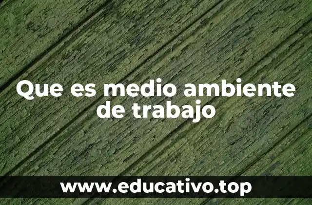 El entorno laboral y su impacto en la productividad
