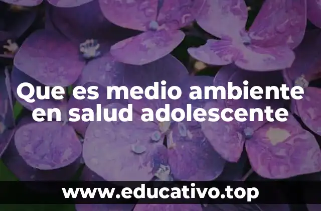 Que es medio ambiente en salud adolescente
