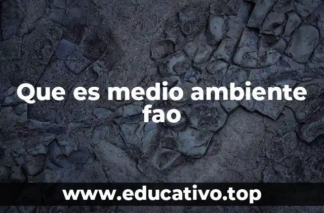 Que es medio ambiente fao