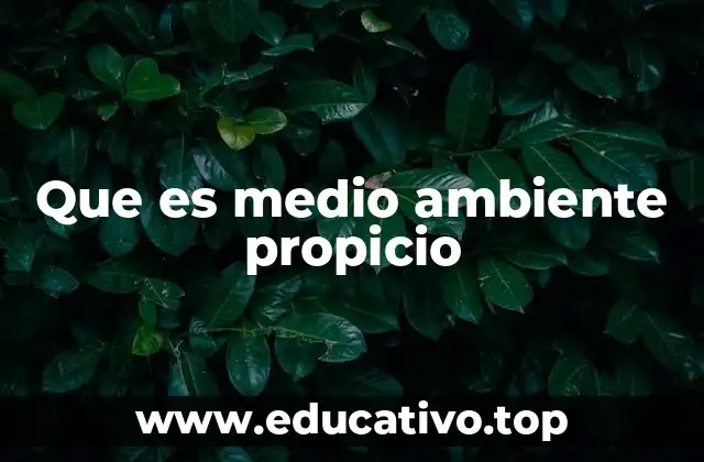 Que es medio ambiente propicio