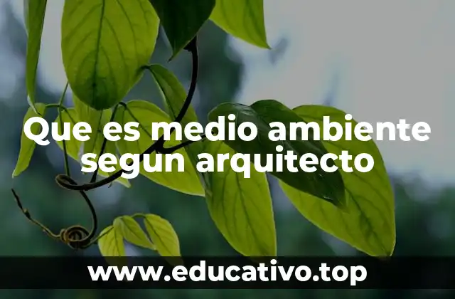 Que es medio ambiente segun arquitecto