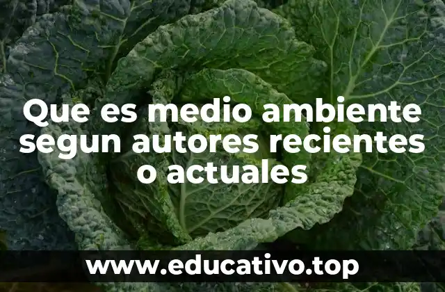 Que es medio ambiente segun autores recientes o actuales