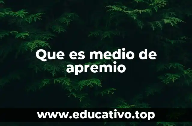 Que es medio de apremio