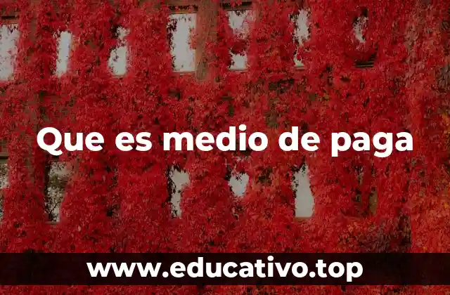 Que es medio de paga