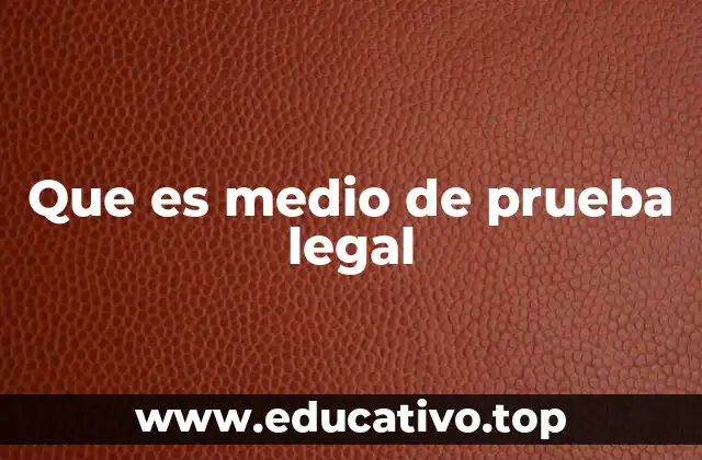 Que es medio de prueba legal