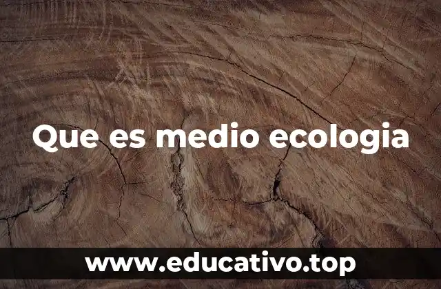 Que es medio ecologia