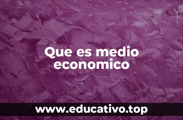 Que es medio economico