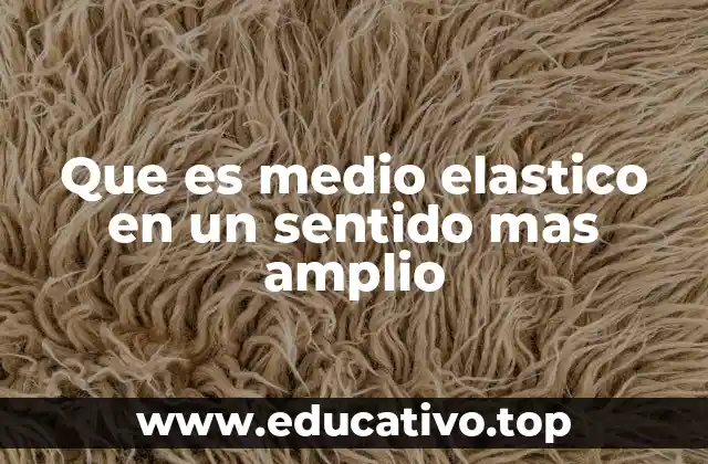 Que es medio elastico en un sentido mas amplio