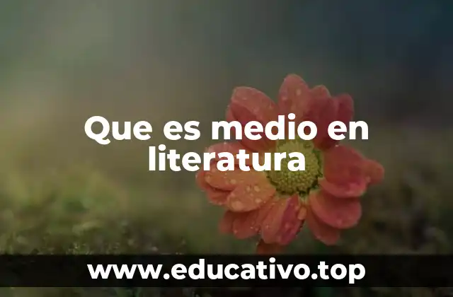 Que es medio en literatura