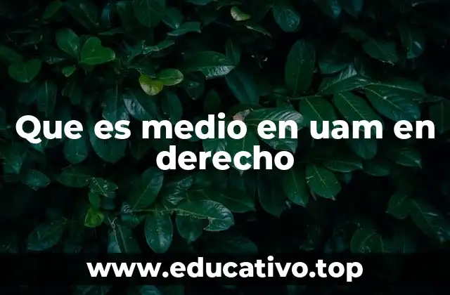 Que es medio en uam en derecho