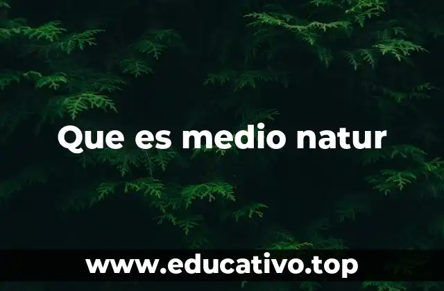 Que es medio natur