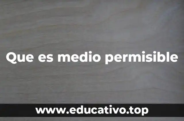 Que es medio permisible