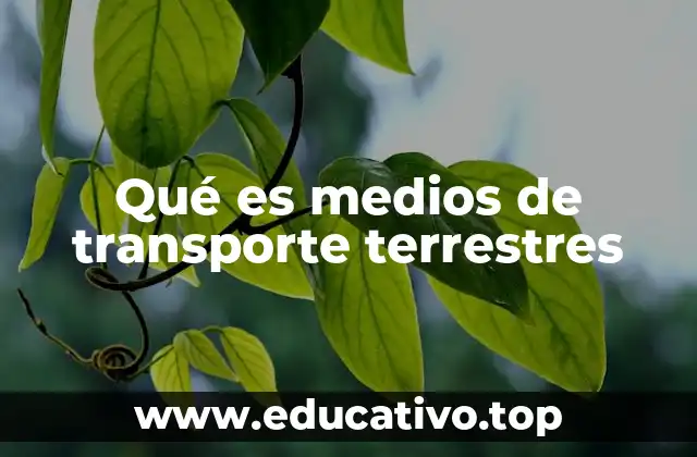 Qué es medios de transporte terrestres