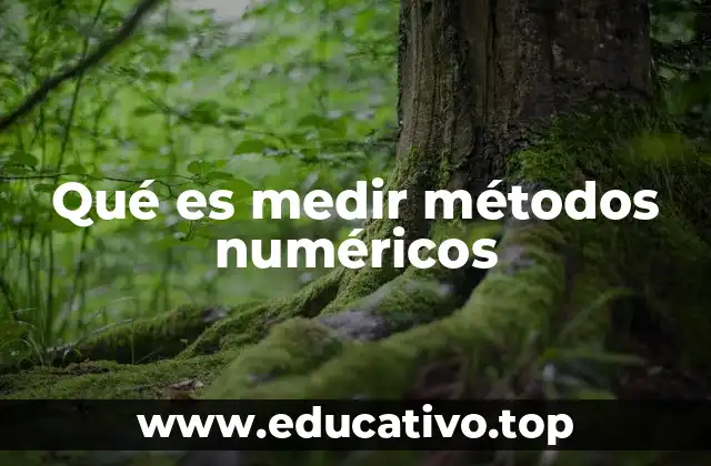 Qué es medir métodos numéricos