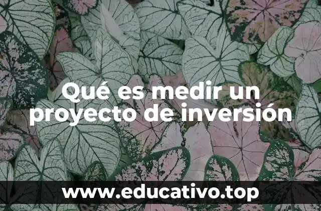 Qué es medir un proyecto de inversión