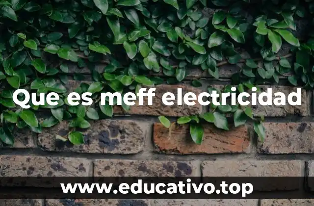 Que es meff electricidad