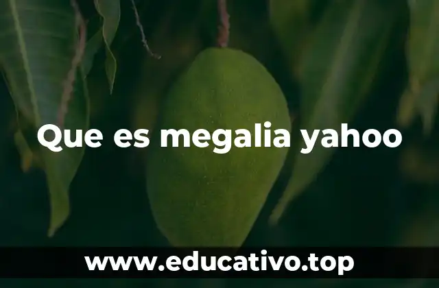 Que es megalia yahoo