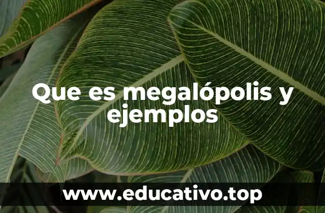 Que es megalópolis y ejemplos
