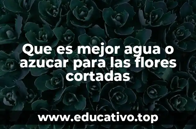 Que es mejor agua o azucar para las flores cortadas