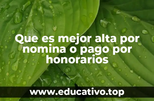 Que es mejor alta por nomina o pago por honorarios