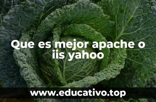 Que es mejor apache o iis yahoo