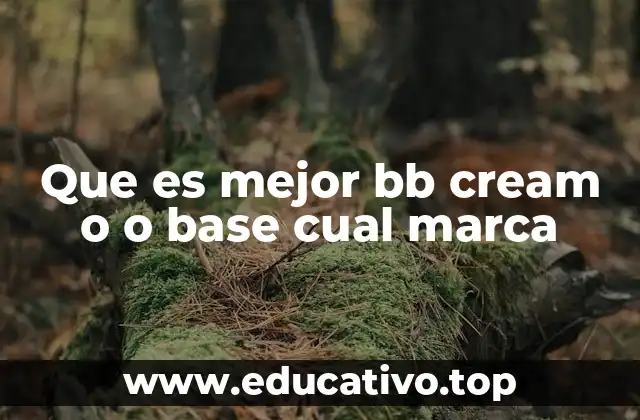Que es mejor bb cream o o base cual marca