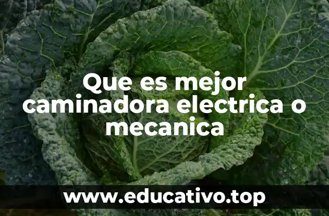 Que es mejor caminadora electrica o mecanica