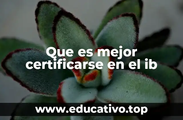 Que es mejor certificarse en el ib