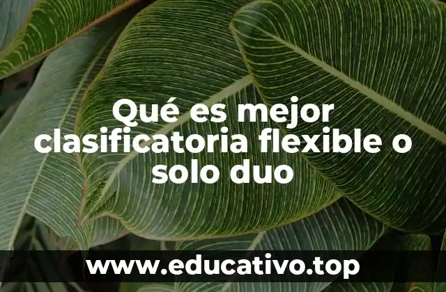 Qué es mejor clasificatoria flexible o solo duo