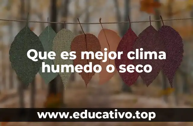 Que es mejor clima humedo o seco