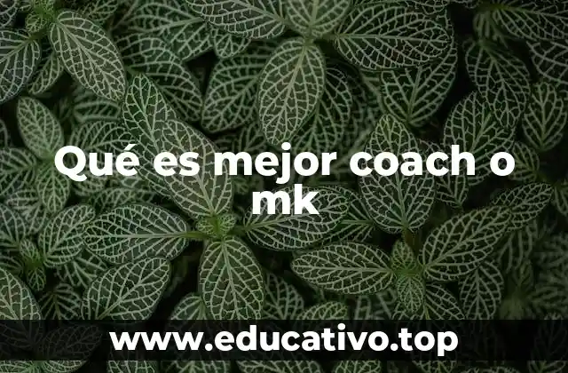 Diferencias entre un coach y un MK sin mencionar directamente los términos