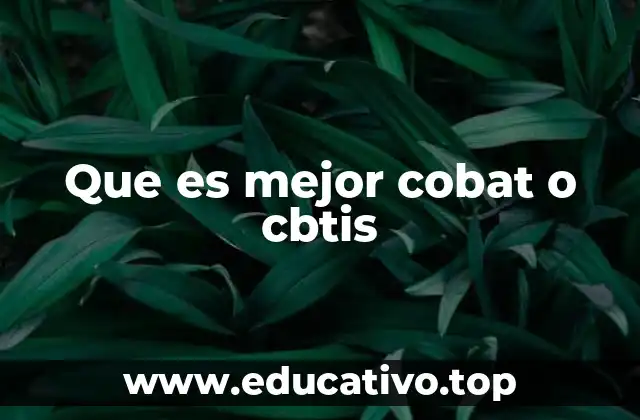 Que es mejor cobat o cbtis