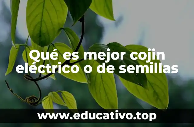 Qué es mejor cojin eléctrico o de semillas