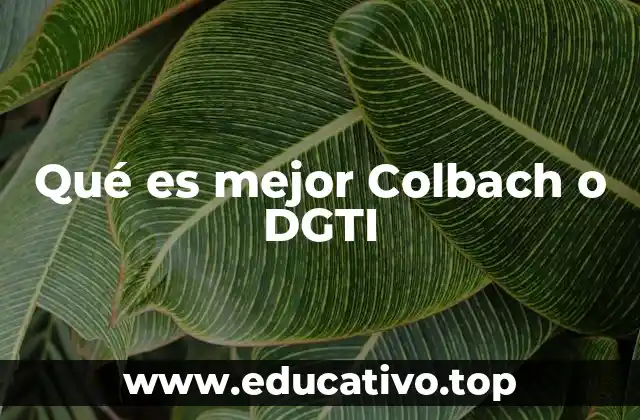 Qué es mejor Colbach o DGTI