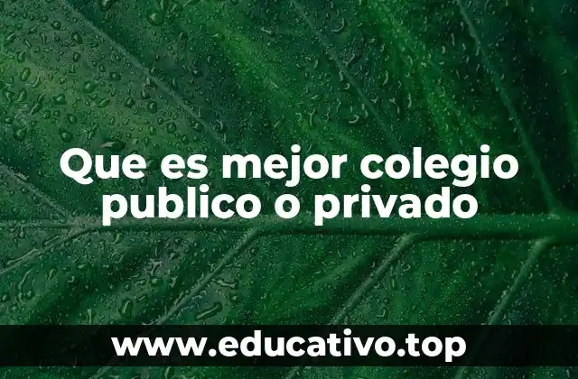 Que es mejor colegio publico o privado