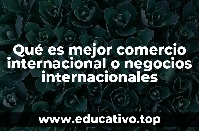 Qué es mejor comercio internacional o negocios internacionales