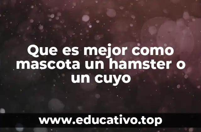 Que es mejor como mascota un hamster o un cuyo