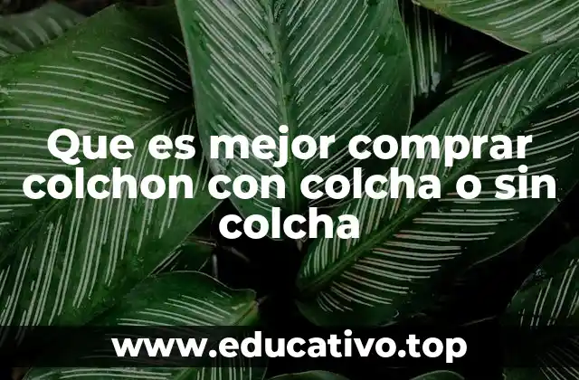 Que es mejor comprar colchon con colcha o sin colcha