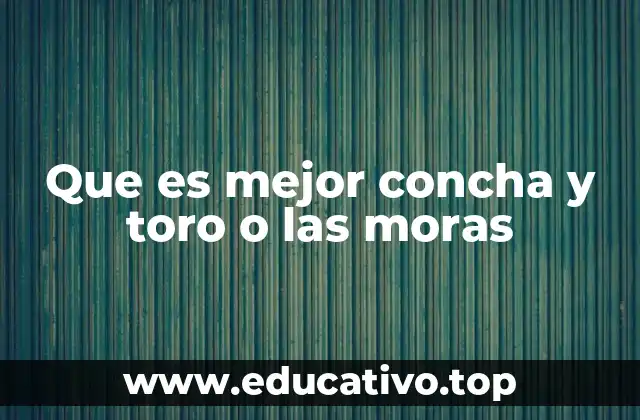 Que es mejor concha y toro o las moras