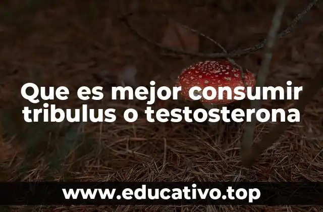 Mejores opciones para mejorar el rendimiento masculino