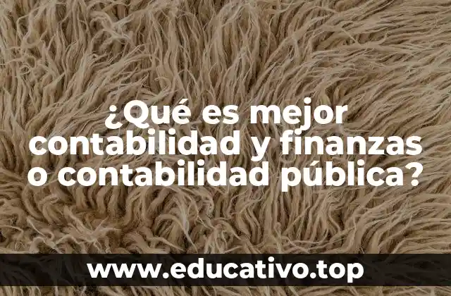 ¿Qué es mejor contabilidad y finanzas o contabilidad pública?