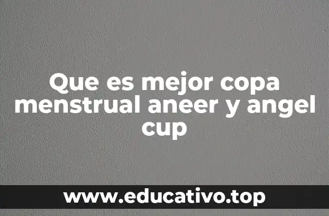 Características y diferencias entre las copas menstruales AneeR y Angel Cup