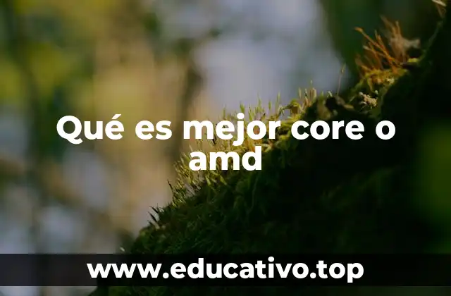 Comparando arquitecturas y enfoques de diseño