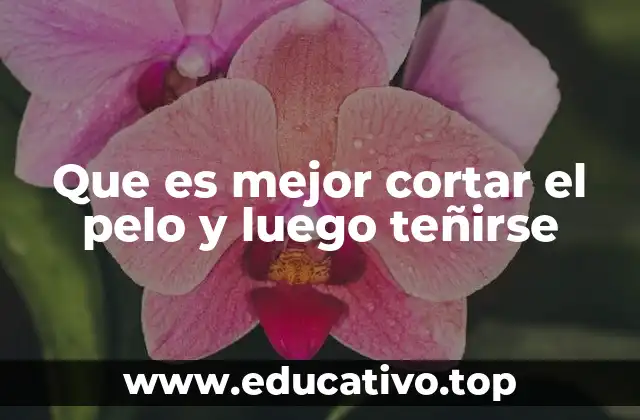 Que es mejor cortar el pelo y luego teñirse