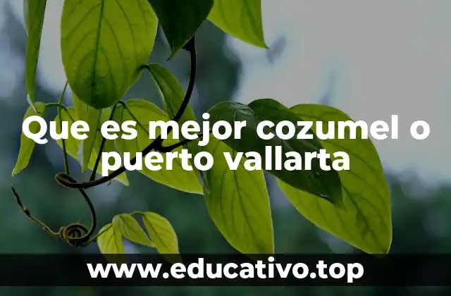 Que es mejor cozumel o puerto vallarta