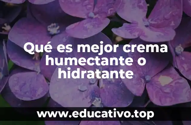Qué es mejor crema humectante o hidratante