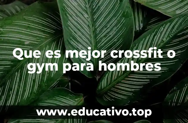 Que es mejor crossfit o gym para hombres
